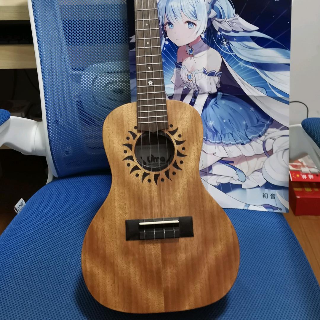 圆石君