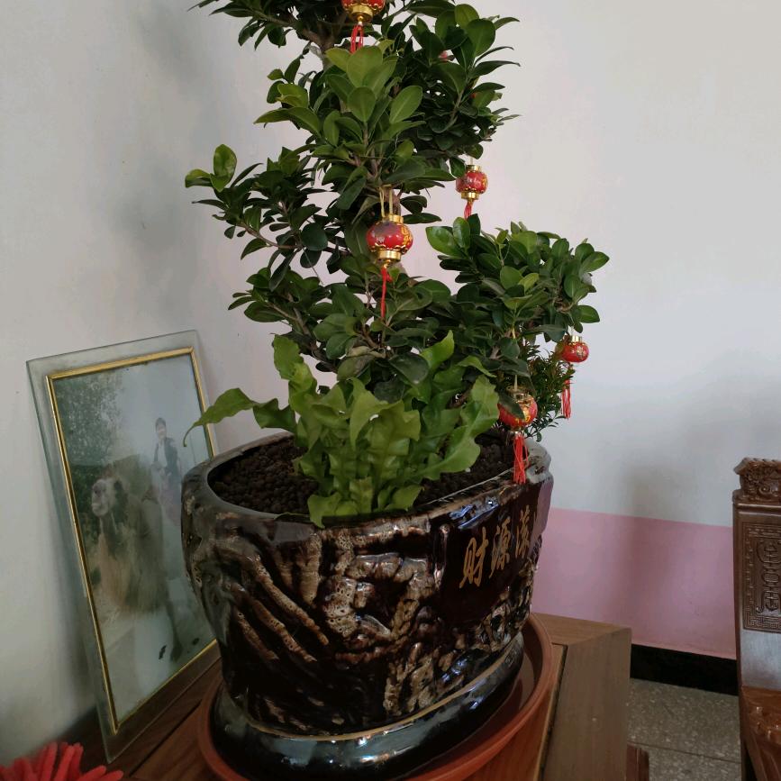 君哥，越来越好