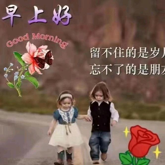 茉莉花