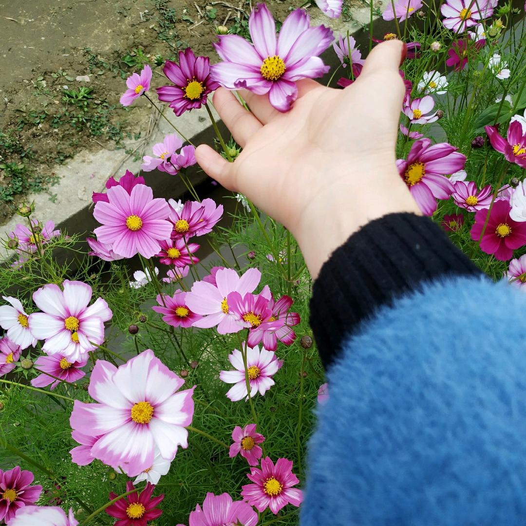 手机用户63539011044