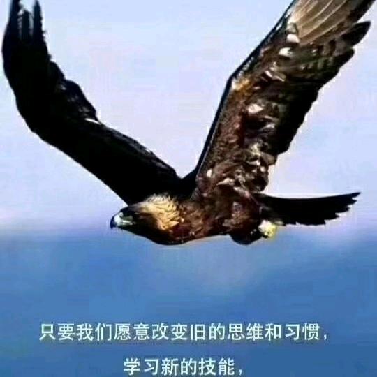 顺其自然★