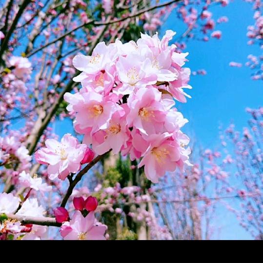 往后余生，风雪是你