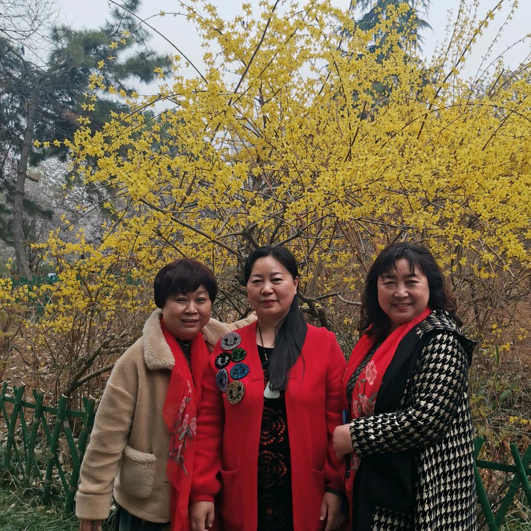 林丽