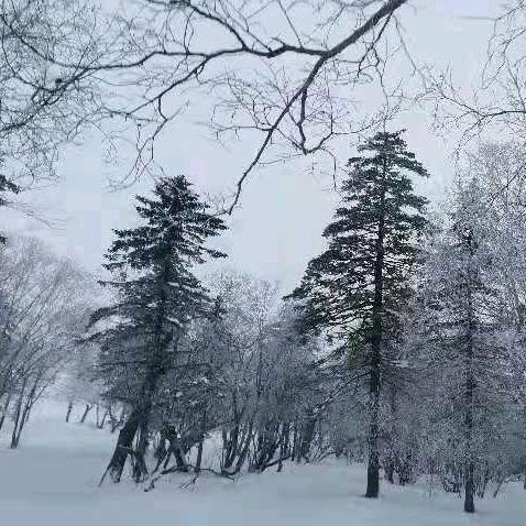 蒲三