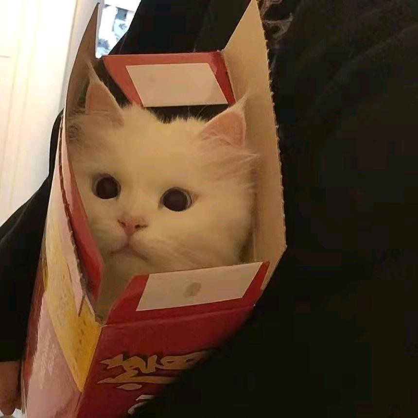 今天是个好天气