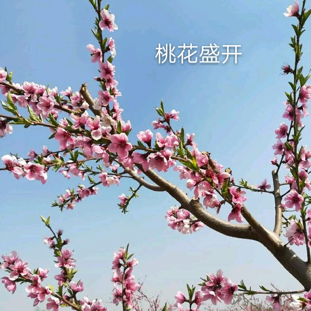 成功伟业压铸铝件