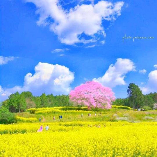 海口龙华雨听宛商贸行