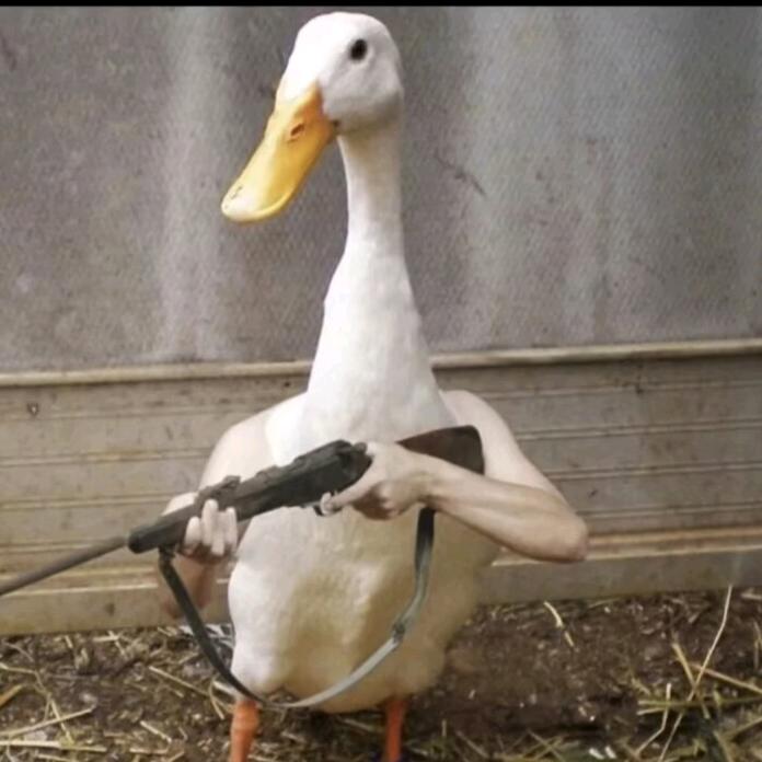 阑珊.
