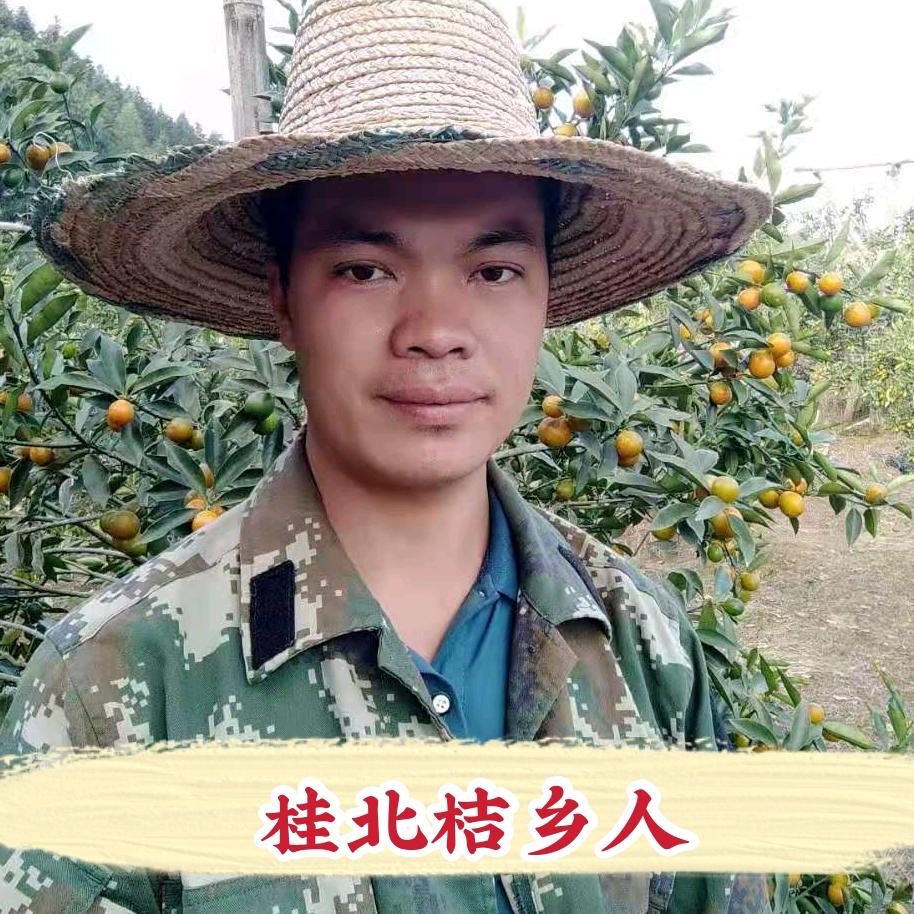 桂北桔乡人