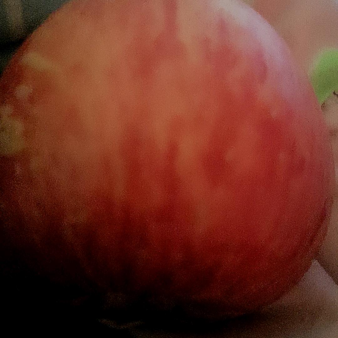睡着的宝贝