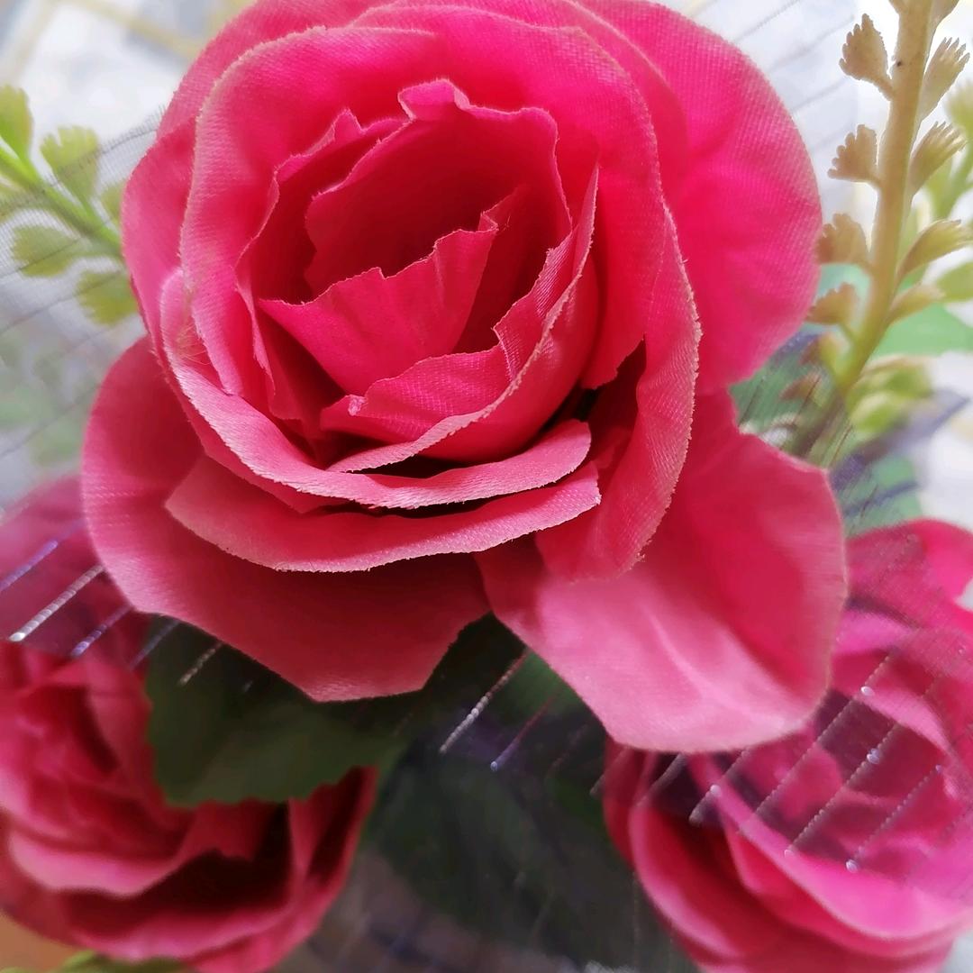王群花