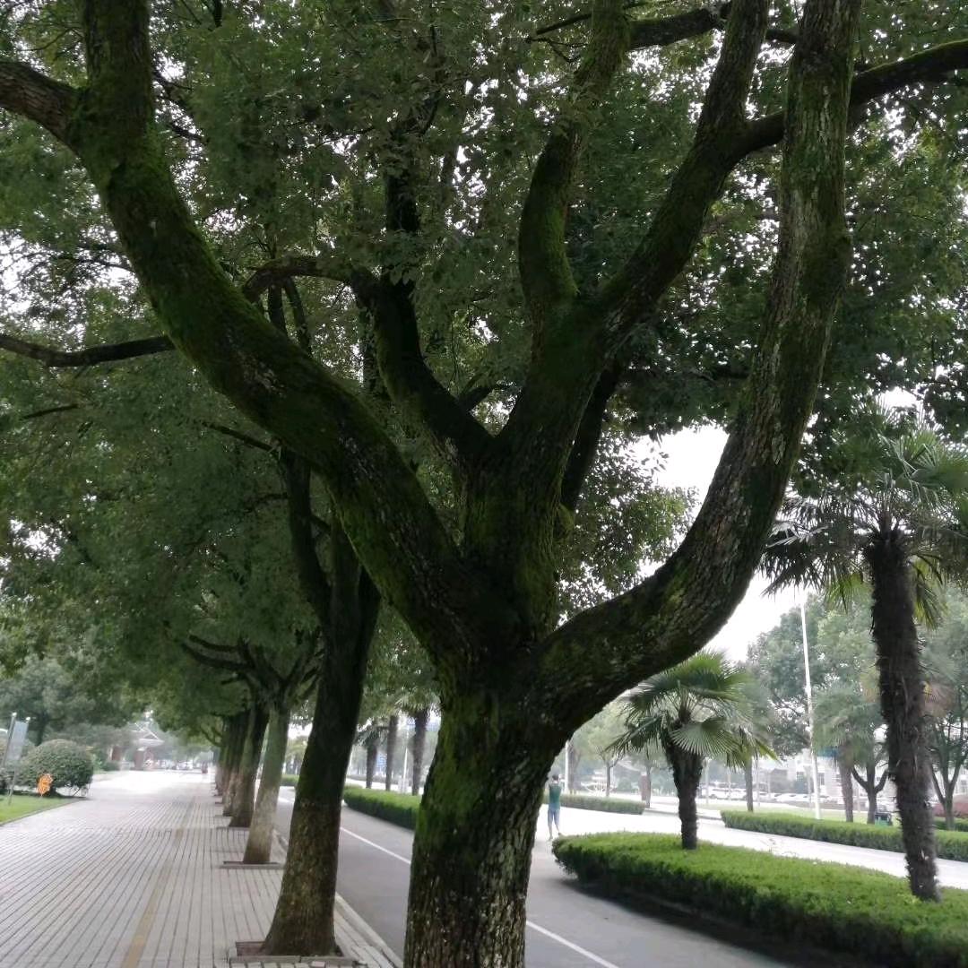 快乐每一天<互关>