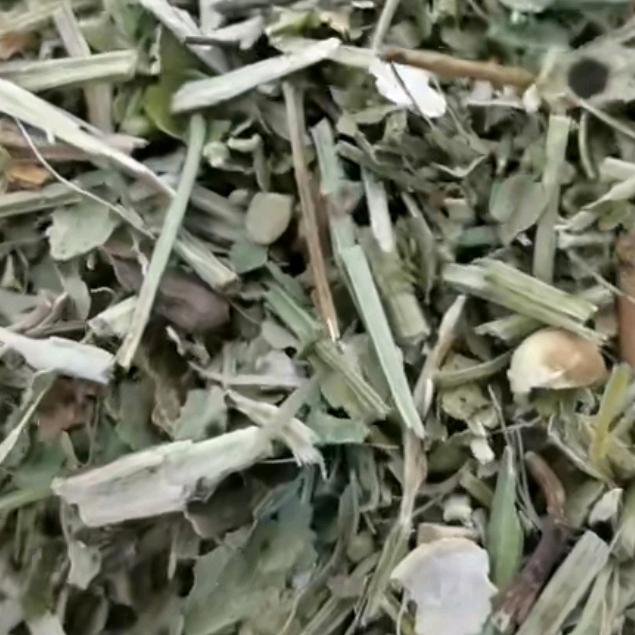 河南(小春草业）