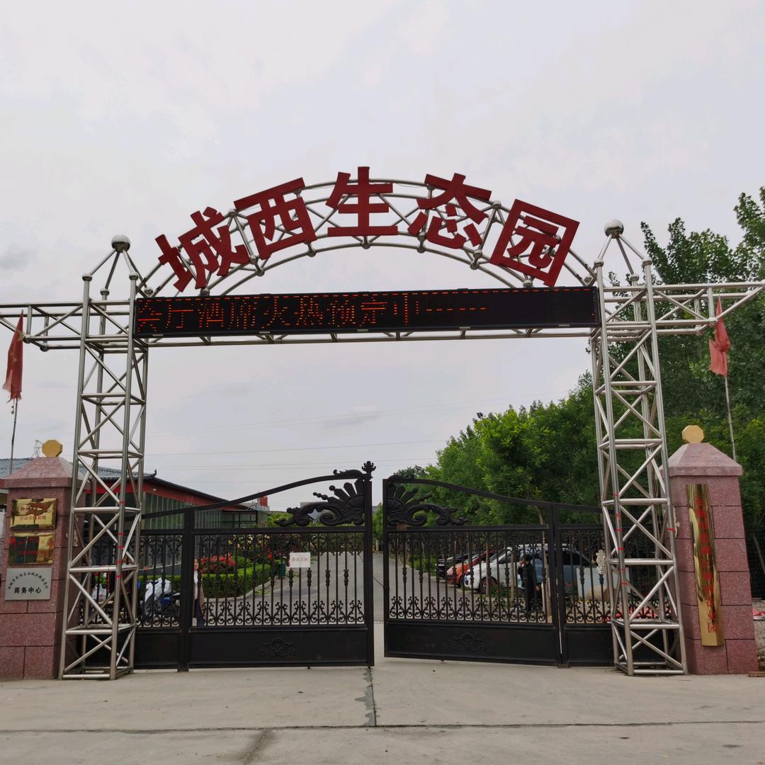共享哥