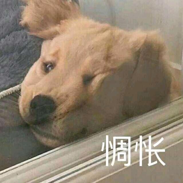 抬脚，扫橘子皮