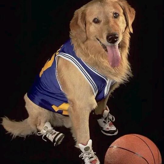 🏀六六第一六🤞