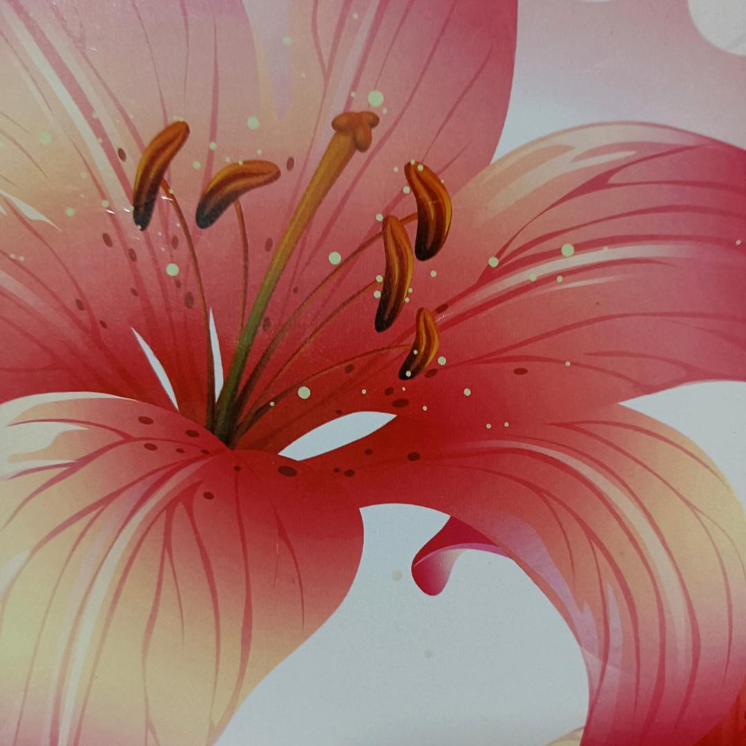 芯1