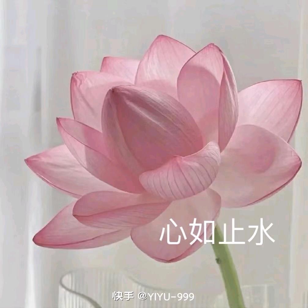小雨