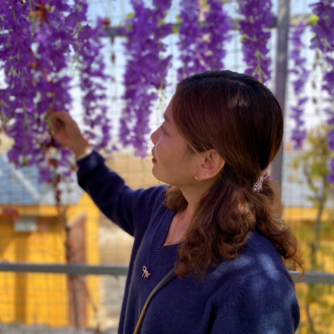 暖心向阳🌷