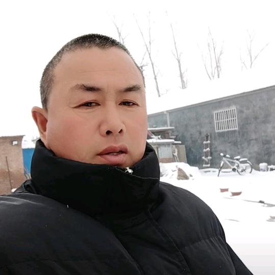 梦想成真-z