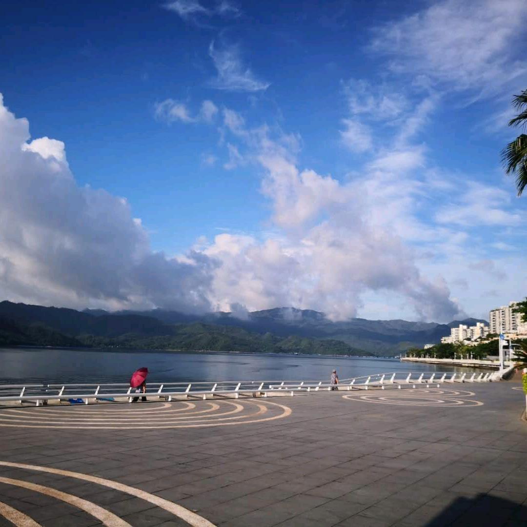 诗海拾贝
