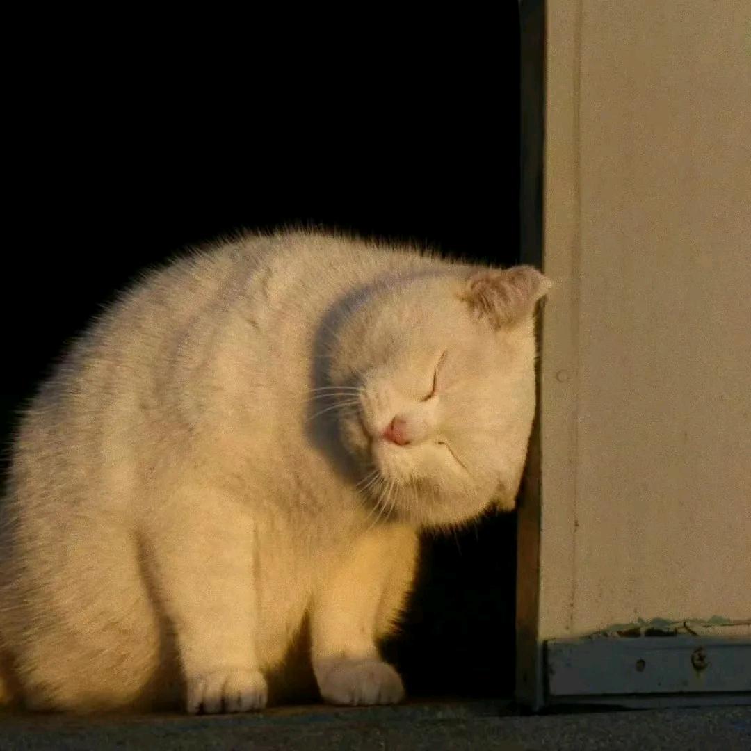 长安🍃