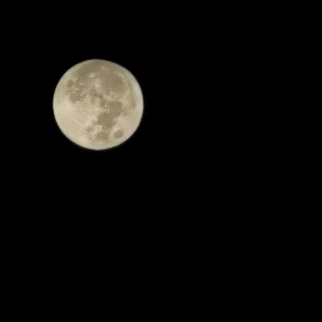 起个名字被用了