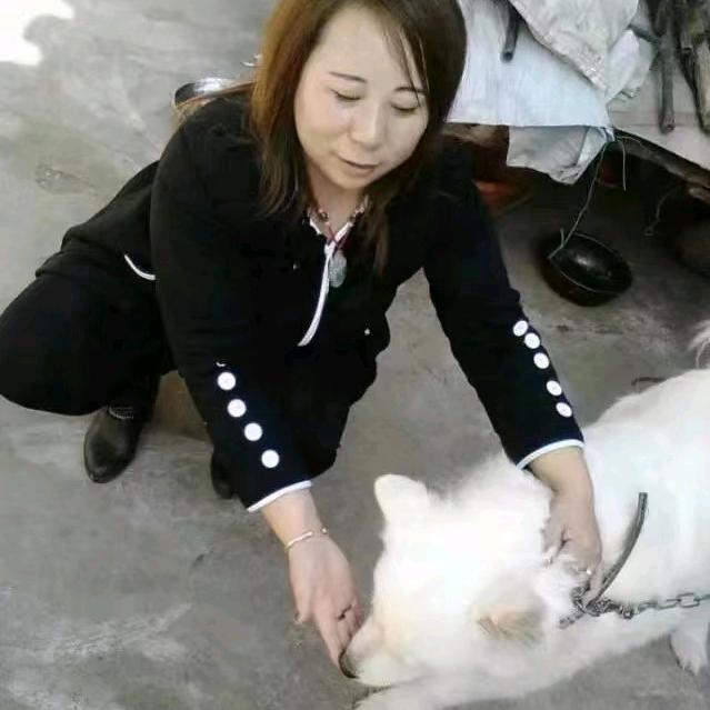 一切随缘