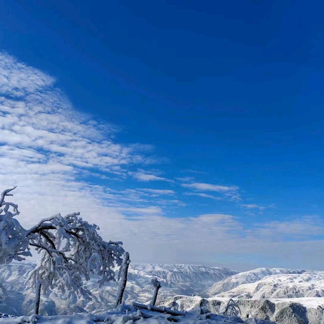 酒肉穿肠过，彿祖心中留
