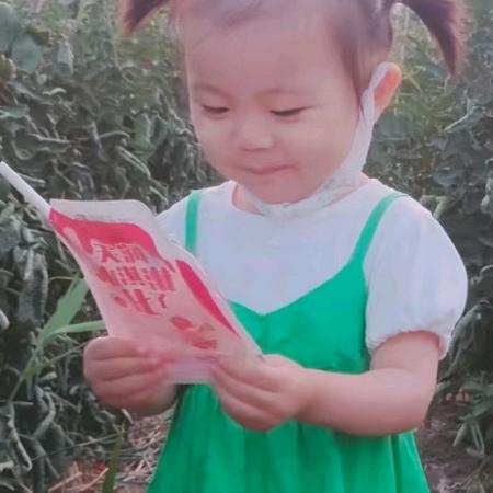 宝俊的梅花：以人为本