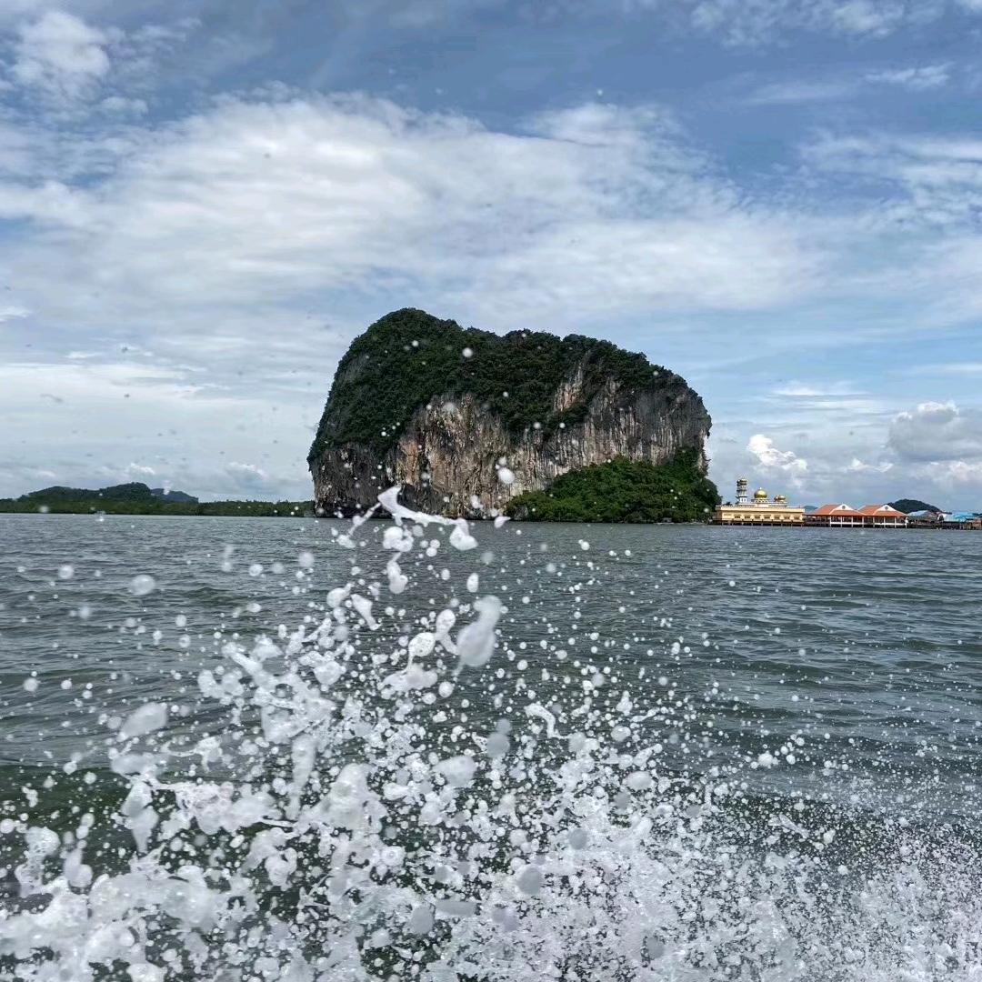 阳光冬雨落