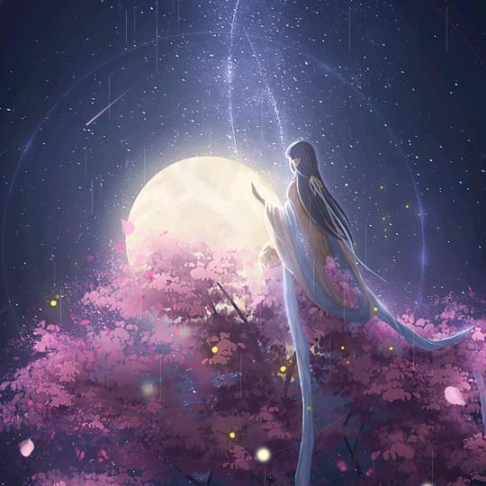 莲舞一曲