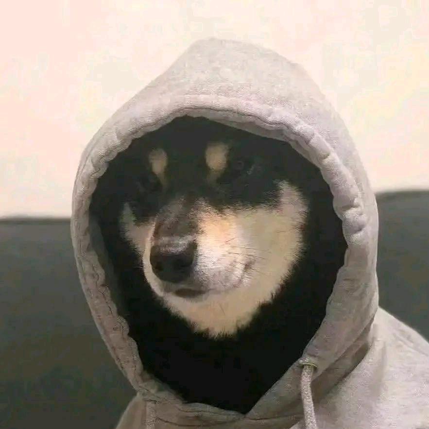 念月