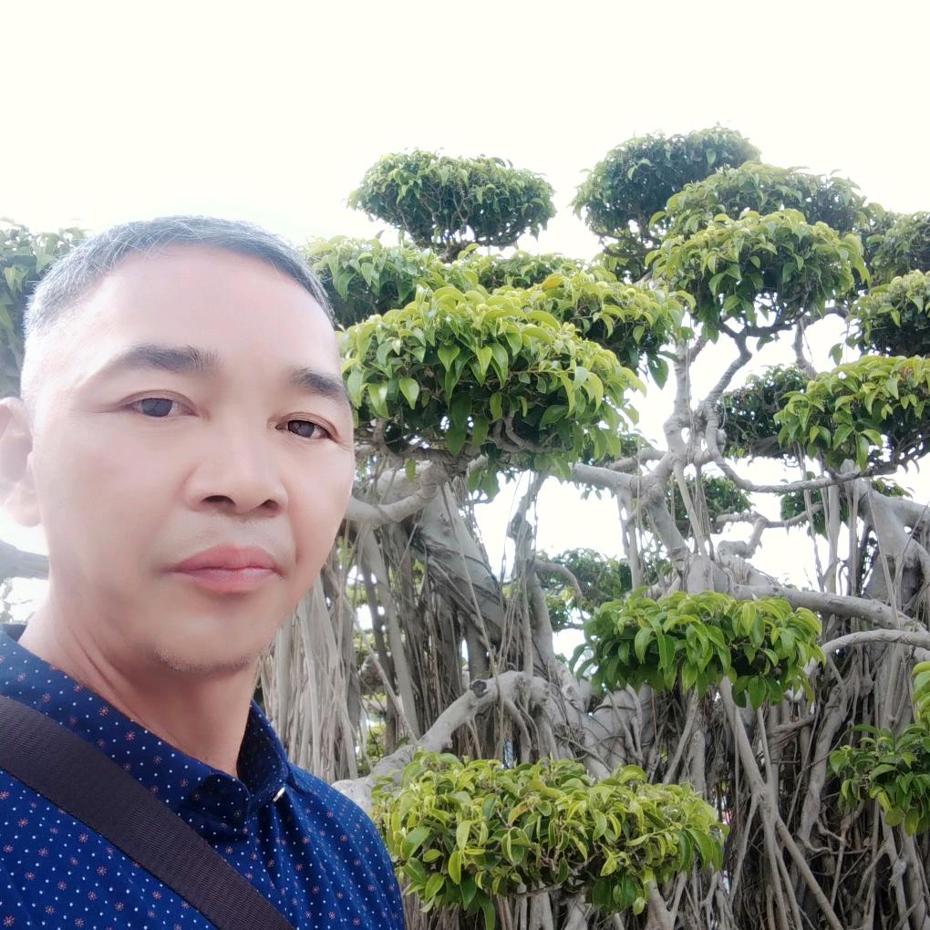 苗乡中草药