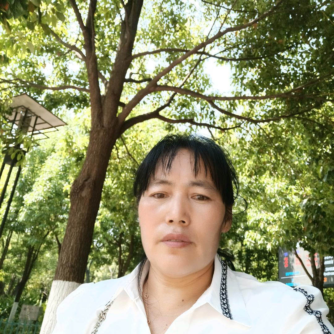 淡雅