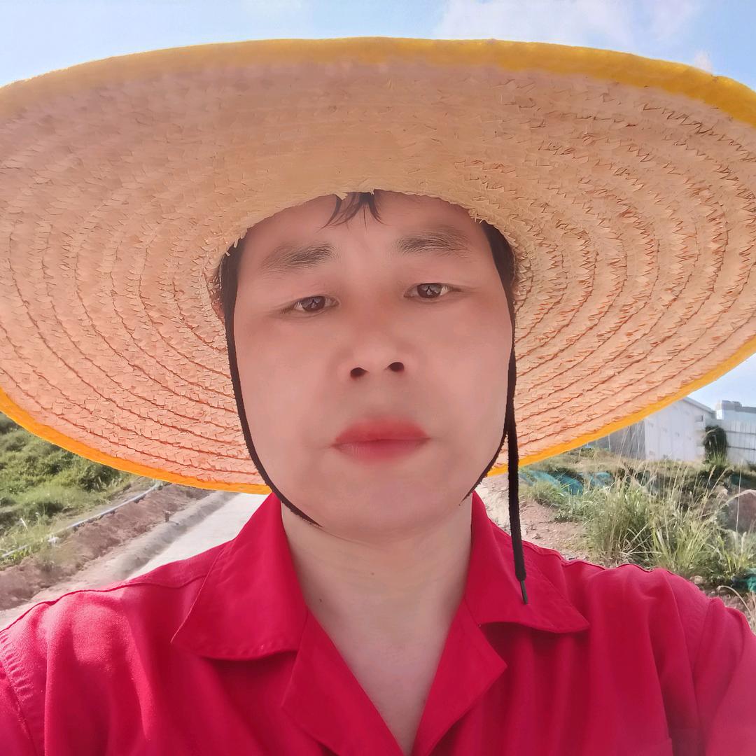 尔顿