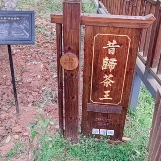 轻轻吹过的风