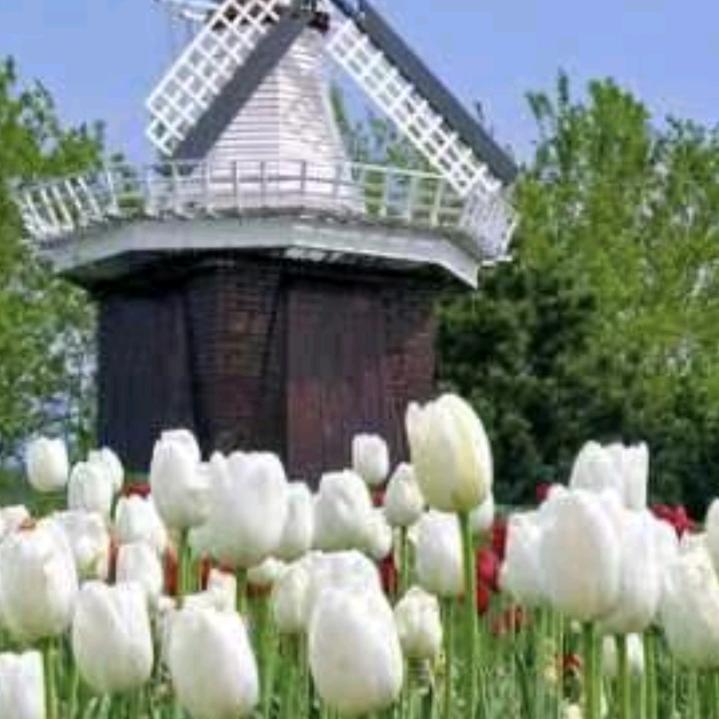 快乐一天算一天