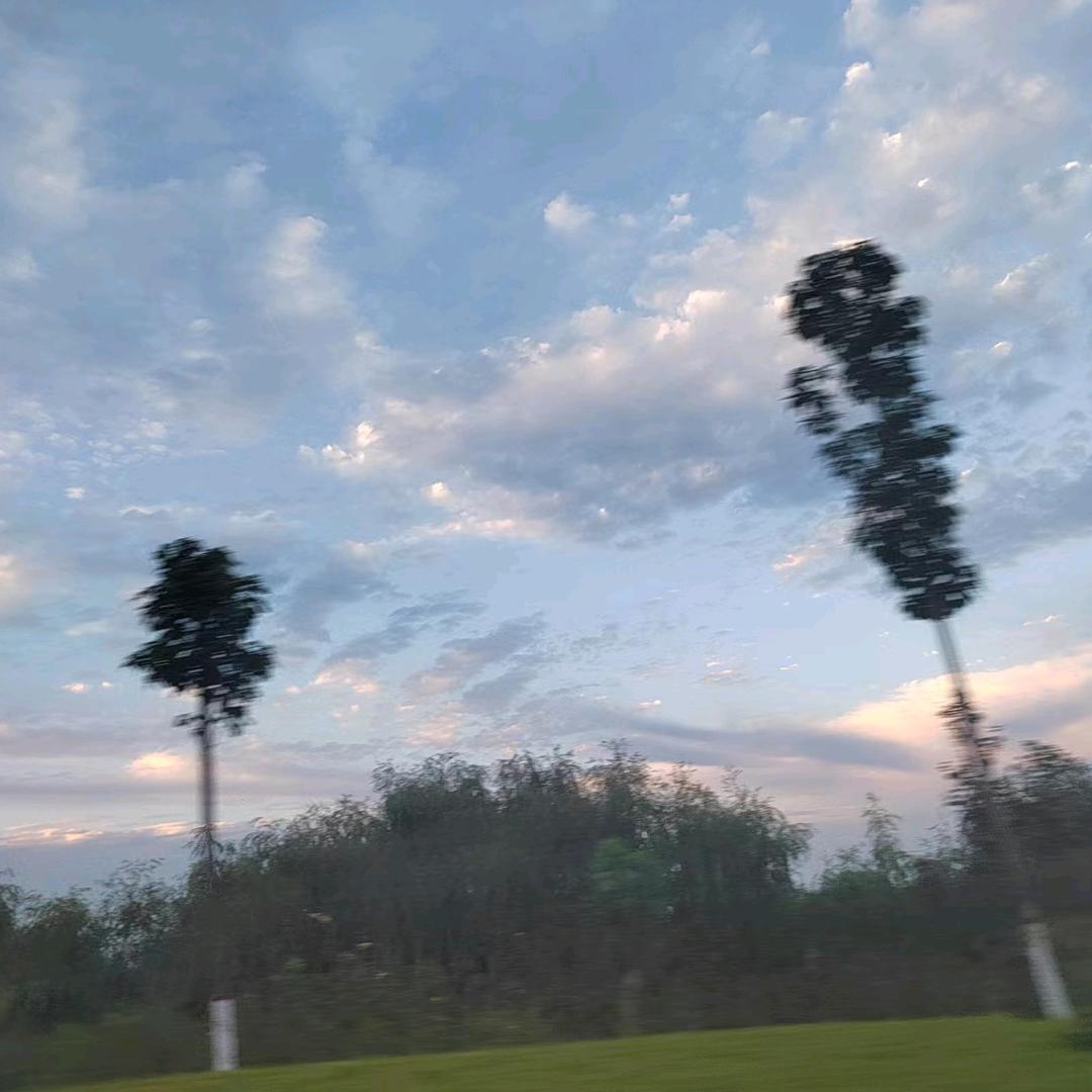 苦海无涯