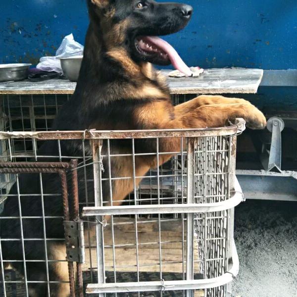 爱的世界只有你