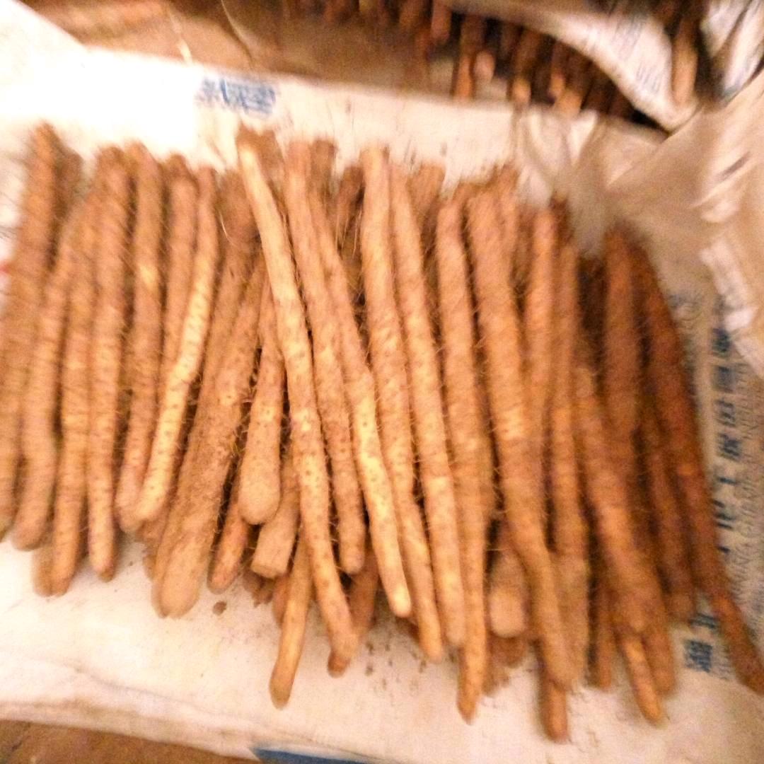 一直旺（这大网络）