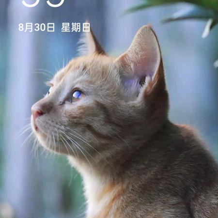 那份情🍒yz