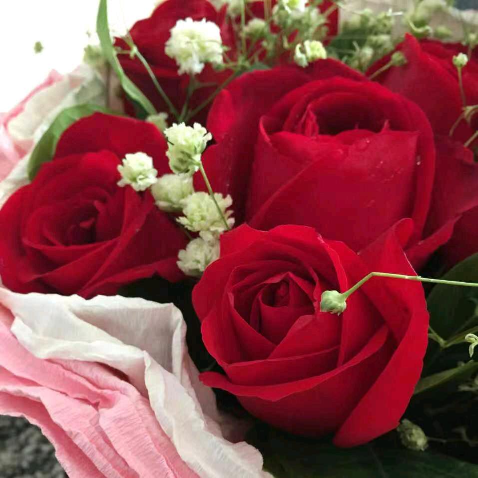 唯美音乐🌹