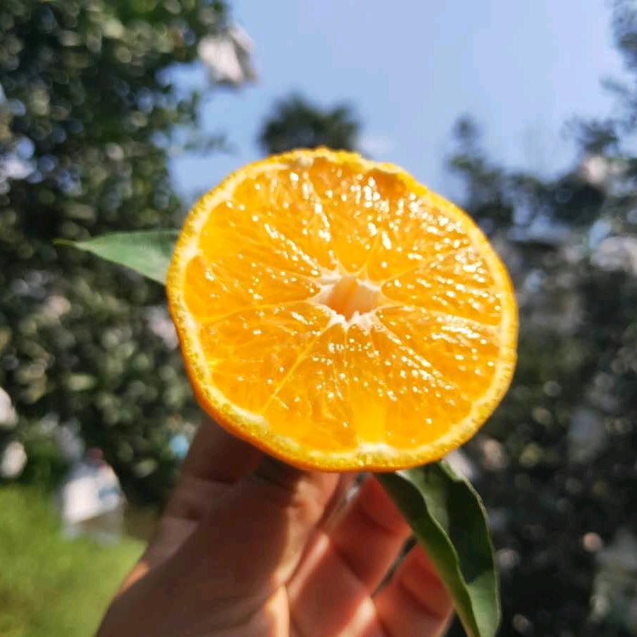 大管家生鲜