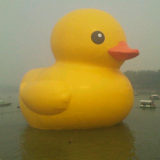 磊磊哥