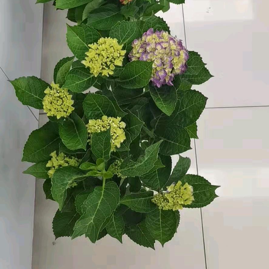 随随便