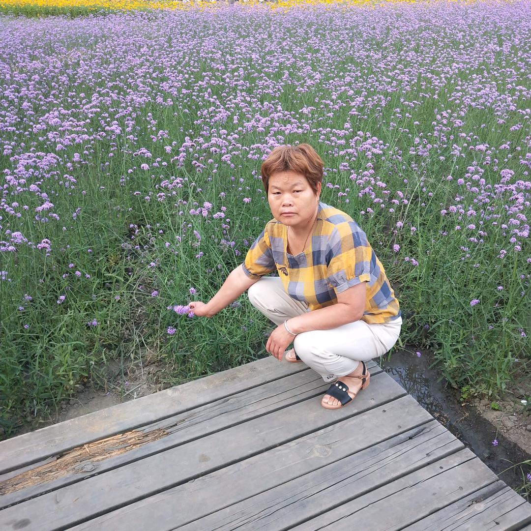 繁花似锦