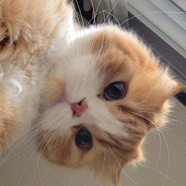 卖祛痘霜的～互关