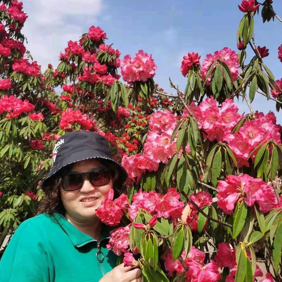 美丽心情