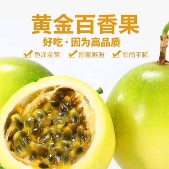 海南保亭张老三黄金百香果